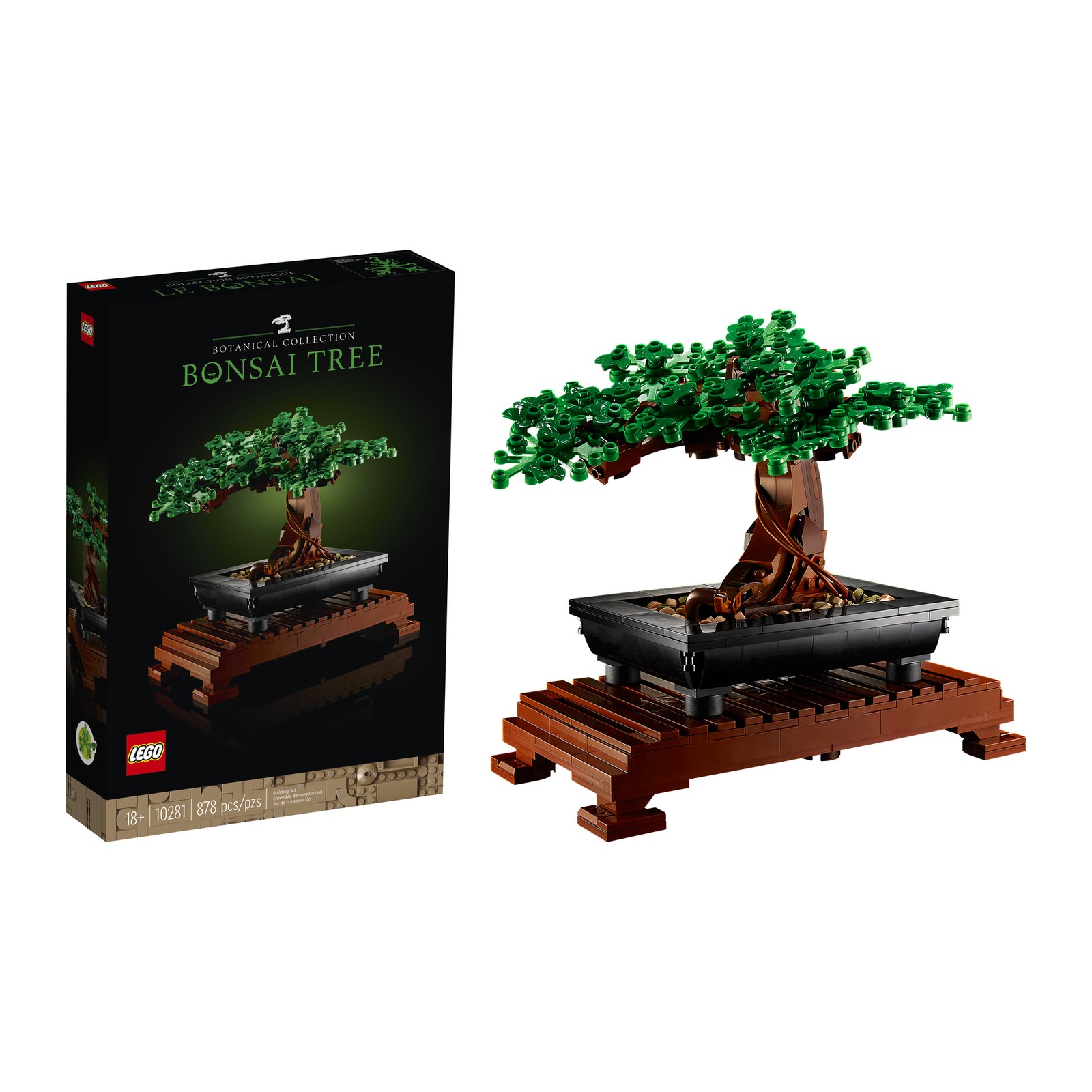 Árbol Bonsái